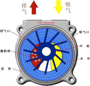 水環(huán)真空泵